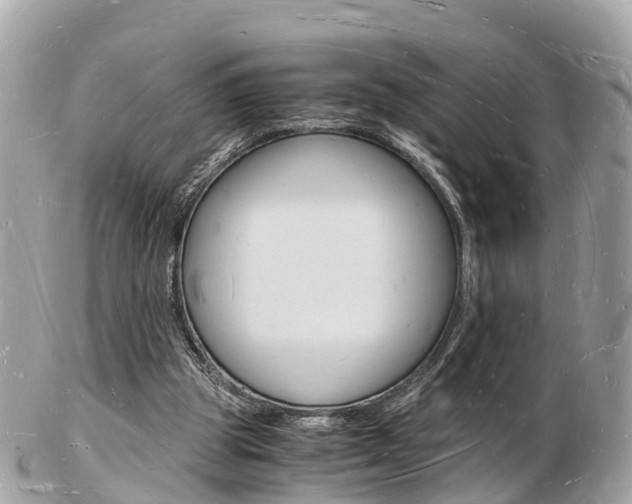 X0000103290153200808291116