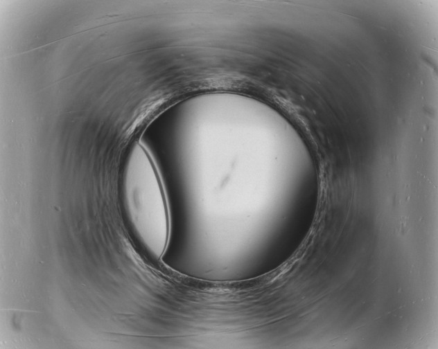 X0000103290154200808291116