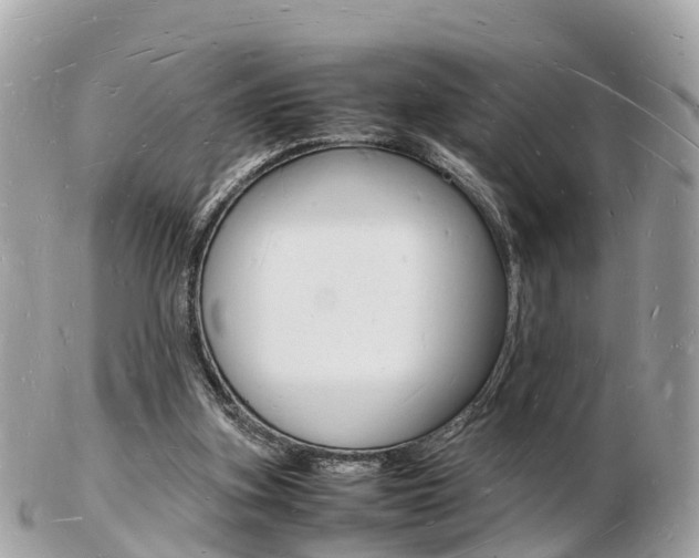 X0000103290155200808291116