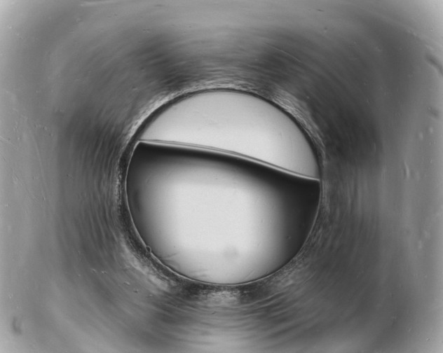 X0000103290156200808291116