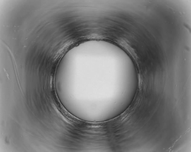X0000103290157200808291116