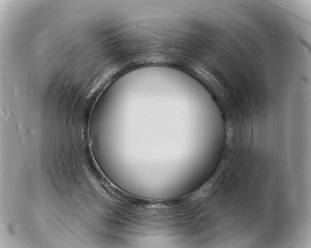 X0000103290158200808291116