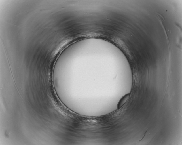 X0000103290159200808291116