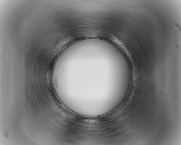 X0000103290161200808291116