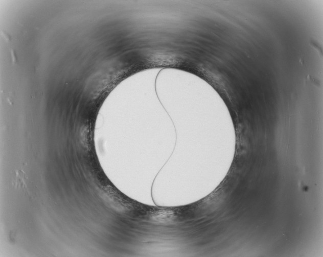 X0000103290162200808291116