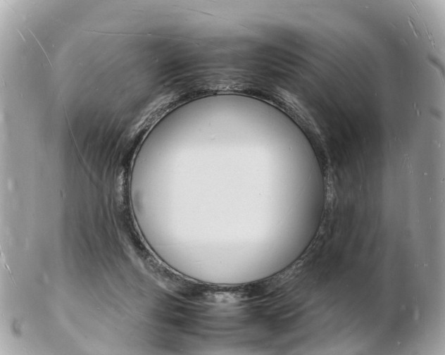 X0000103290163200808291116