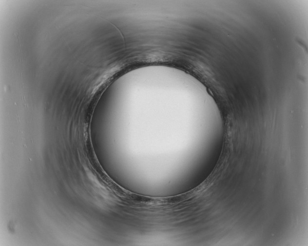 X0000103290164200808291116