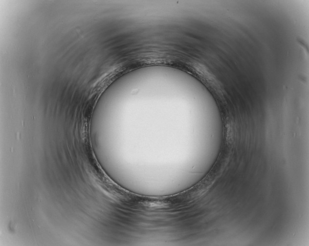 X0000103290165200808291116