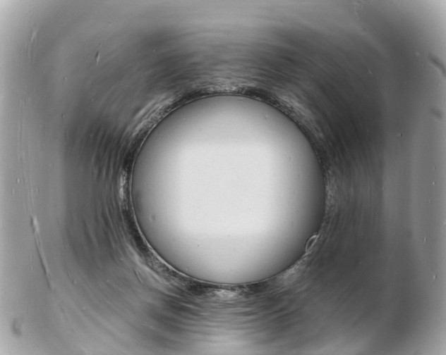 X0000103290166200808291116