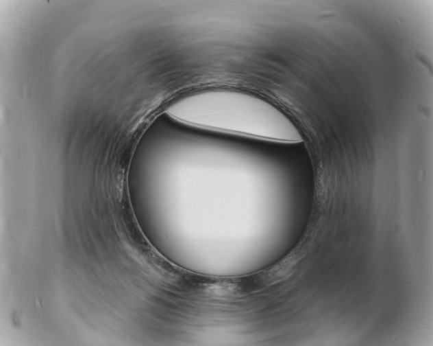 X0000103290168200808291116