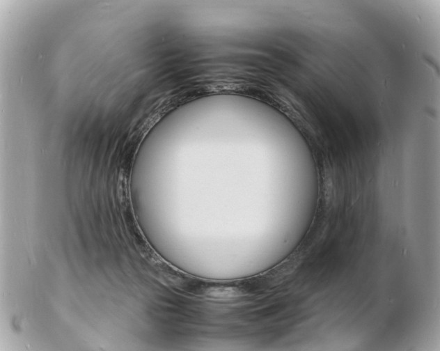 X0000103290169200808291116