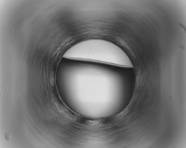 X0000103290170200808291116