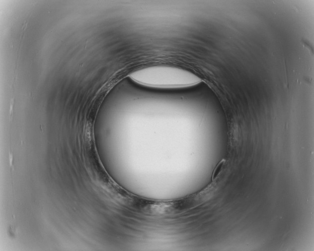 X0000103290172200808291116