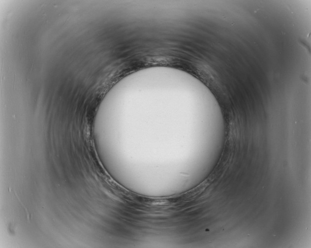 X0000103290173200808291116