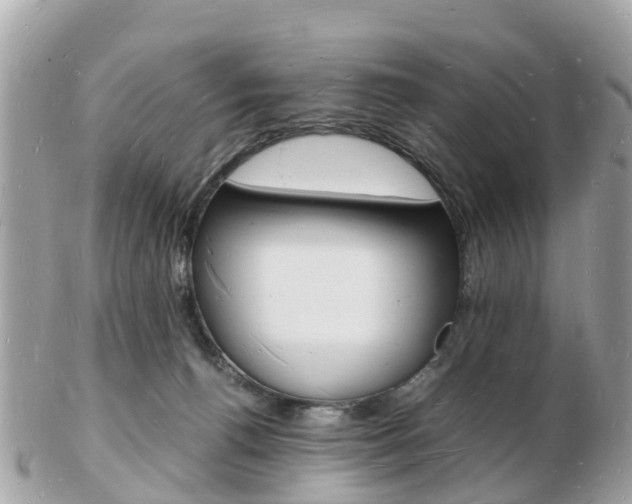 X0000103290176200808291116