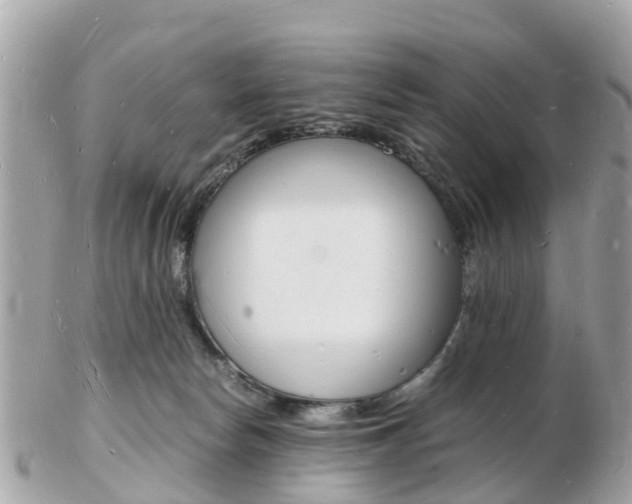 X0000103290178200808291116