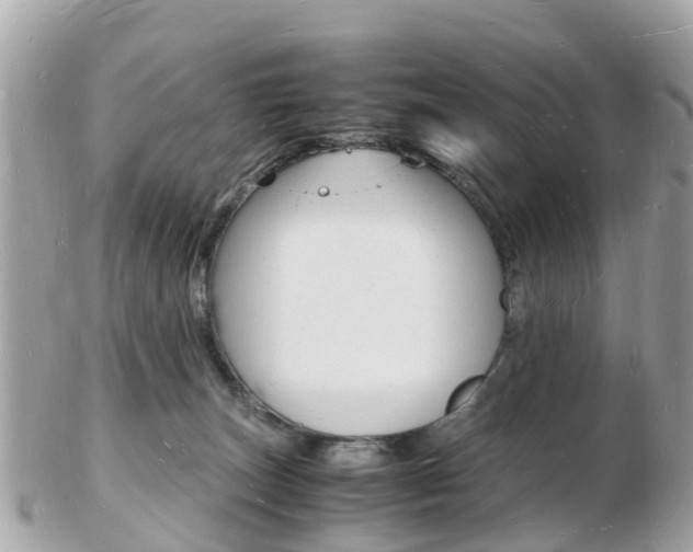 X0000103290179200808291116
