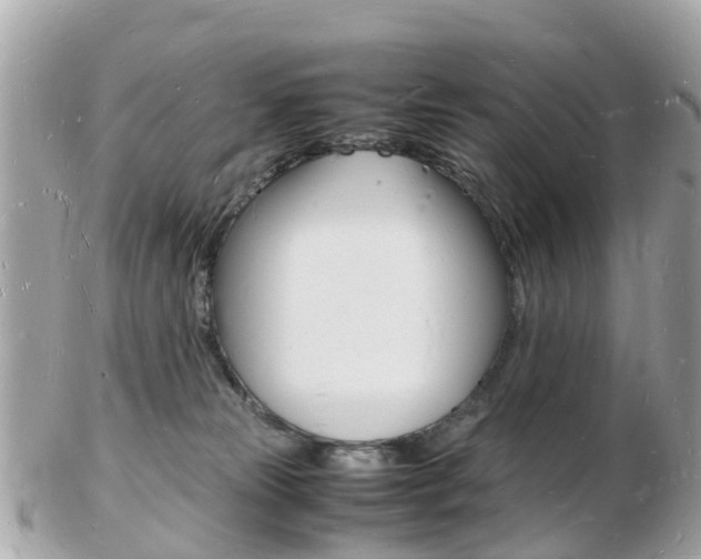 X0000103290181200808291116