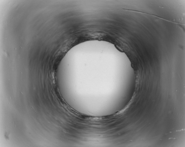 X0000103290182200808291116