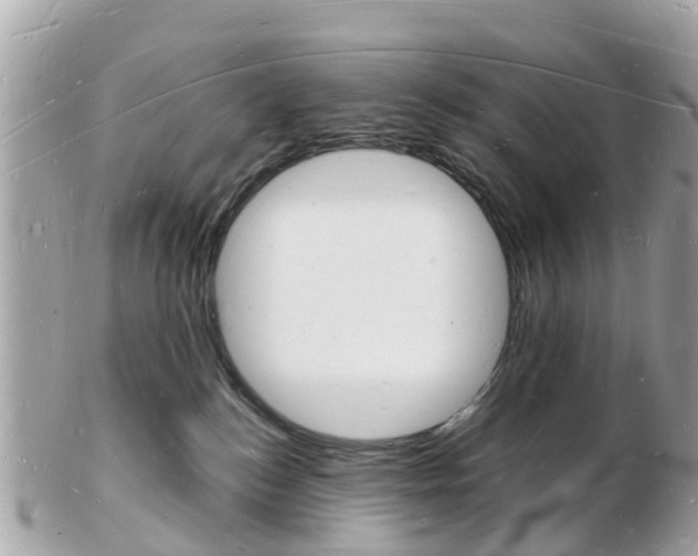 X0000103290184200808291116