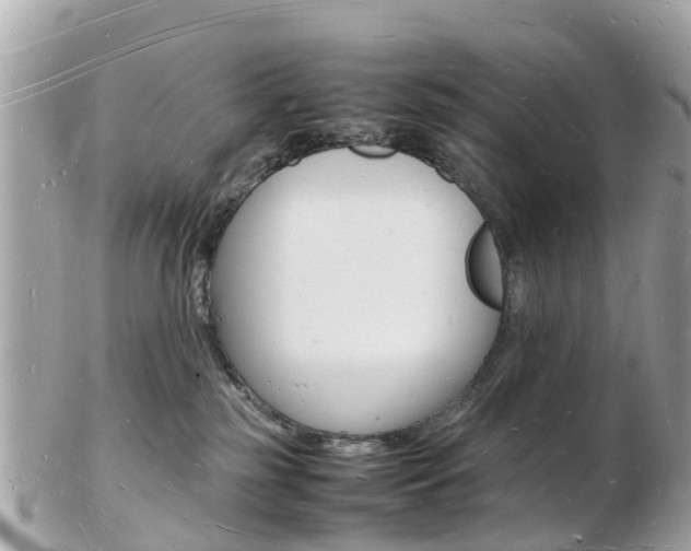 X0000103290185200808291116