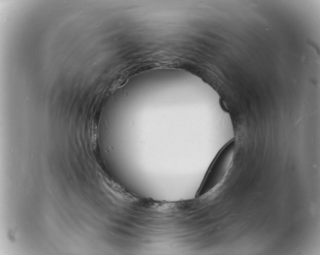 X0000103290186200808291116
