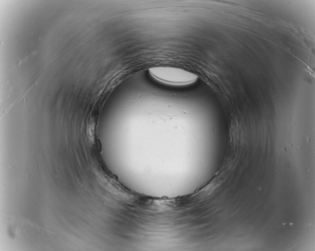 X0000103290188200808291116