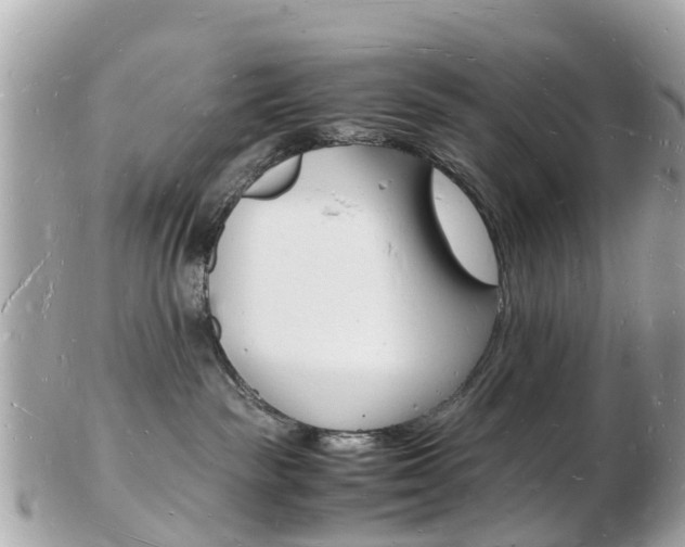 X0000103290189200808291116