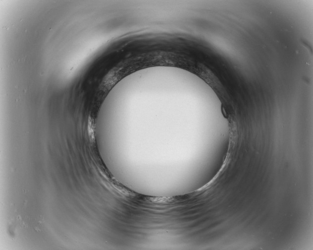 X0000103290191200808291116