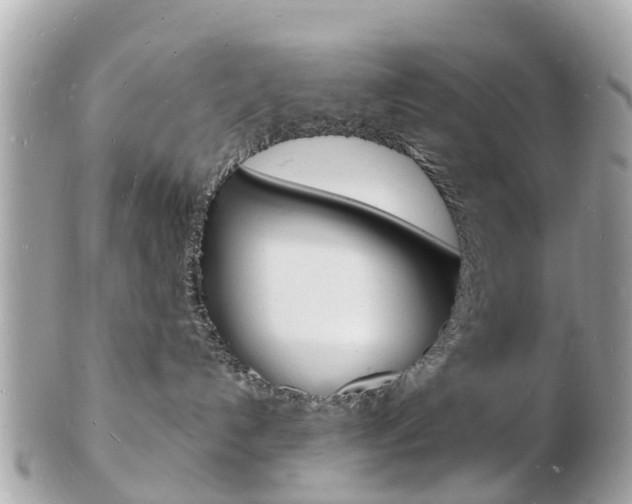 X0000103290192200808291116