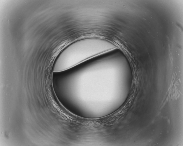 X0000103290193200808291116
