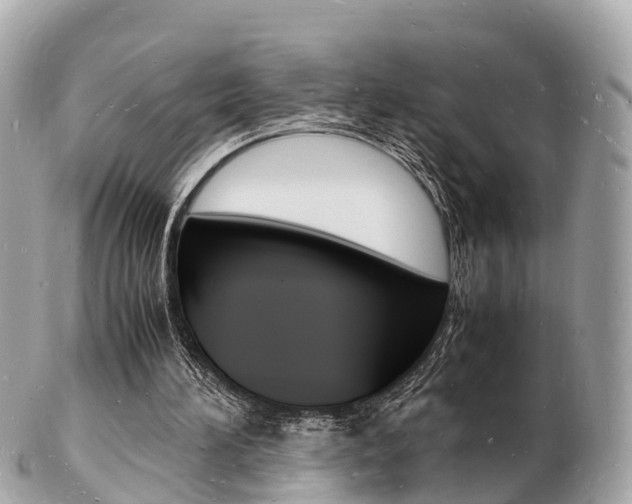 X0000103290196200808291115