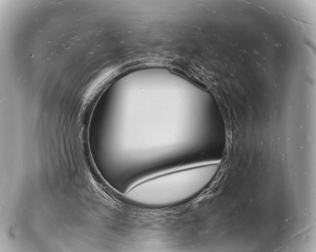 X0000103290197200808291115