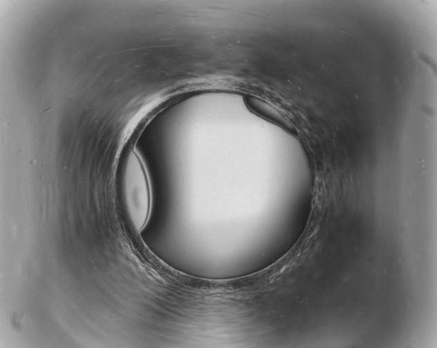 X0000103290200200808291115