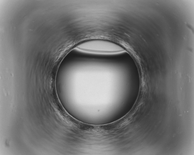 X0000103290201200808291115