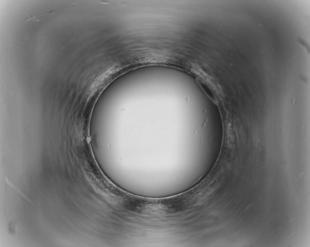 X0000103290203200808291115