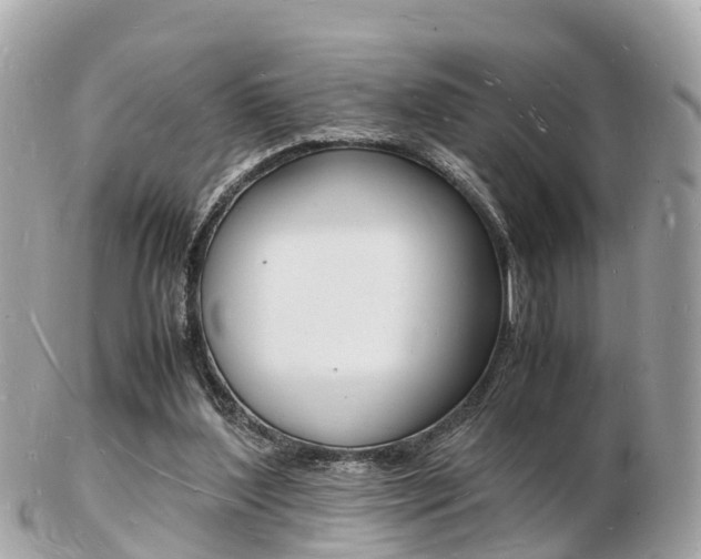 X0000103290204200808291115