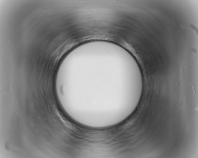 X0000103290205200808291115