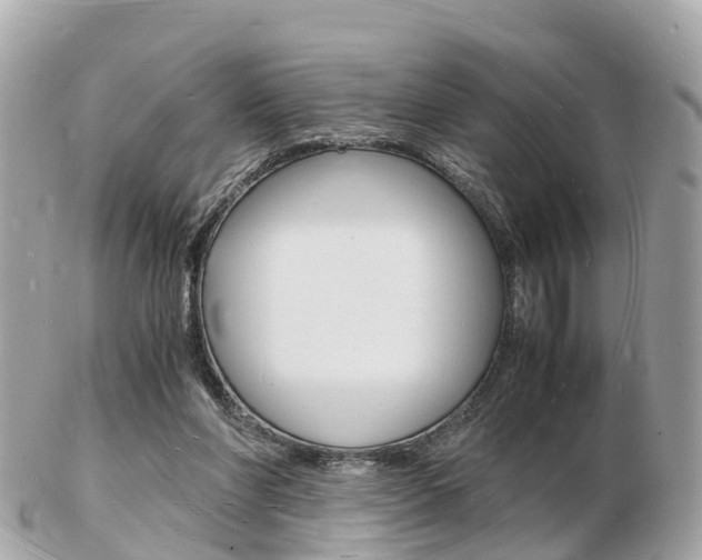 X0000103290206200808291115