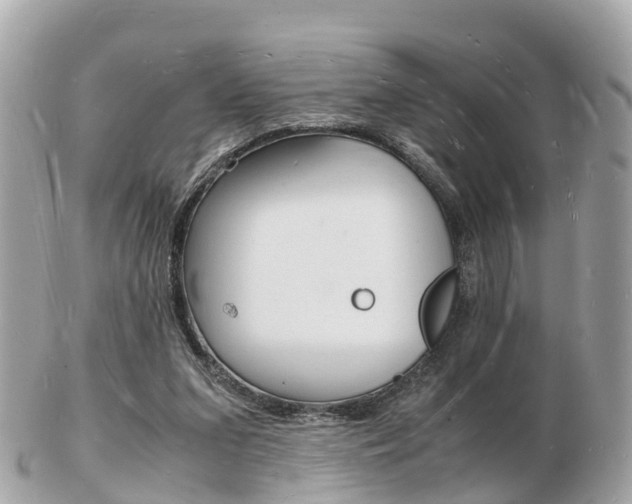 X0000103290207200808291115