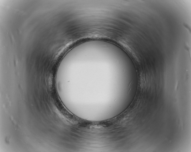 X0000103290208200808291115