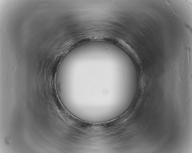 X0000103290209200808291115