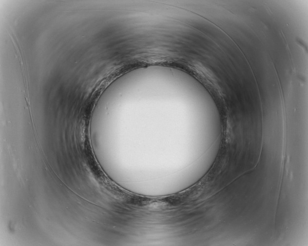 X0000103290210200808291115