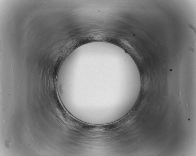 X0000103290213200808291115