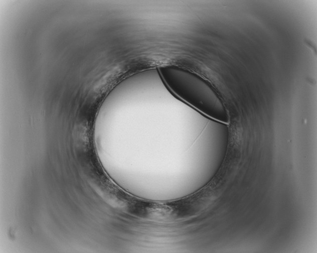 X0000103290215200808291115