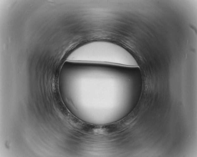 X0000103290216200808291115