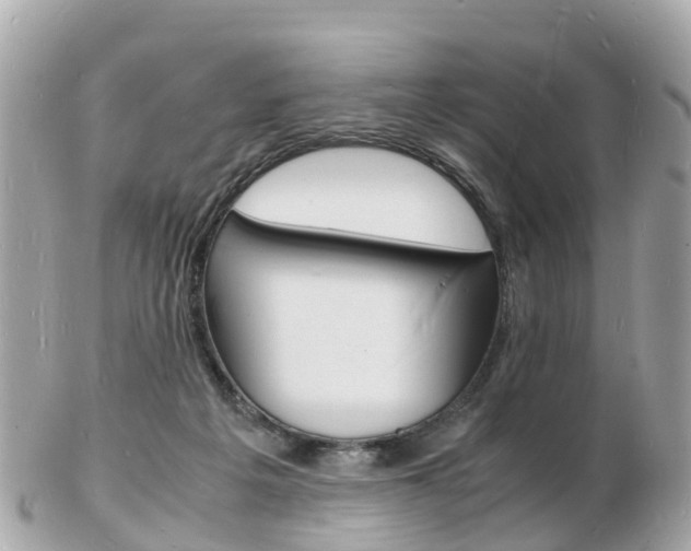 X0000103290217200808291115