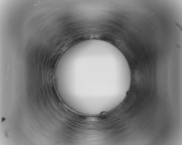 X0000103290218200808291115