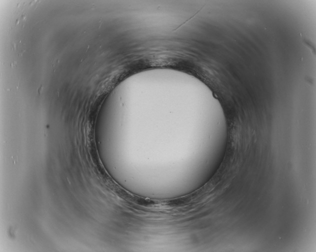 X0000103290219200808291115