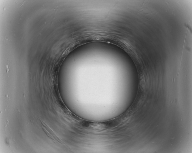 X0000103290221200808291115